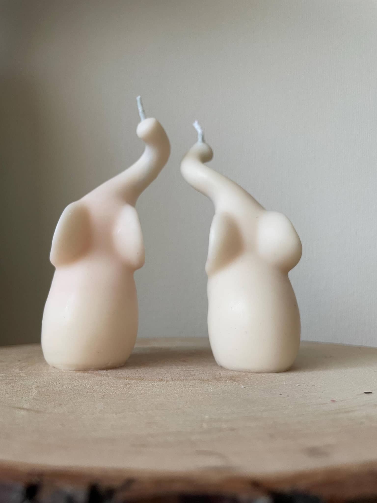 La Bouqe handmade elefant candle set featuring two ivory elephant-shaped candles with raised trunks